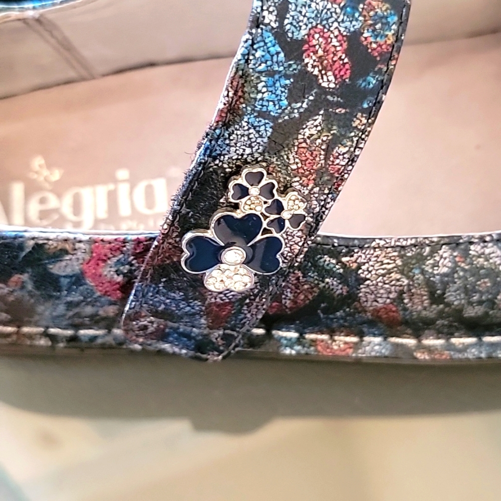 Alegria Paloma - Picture 4 of 5